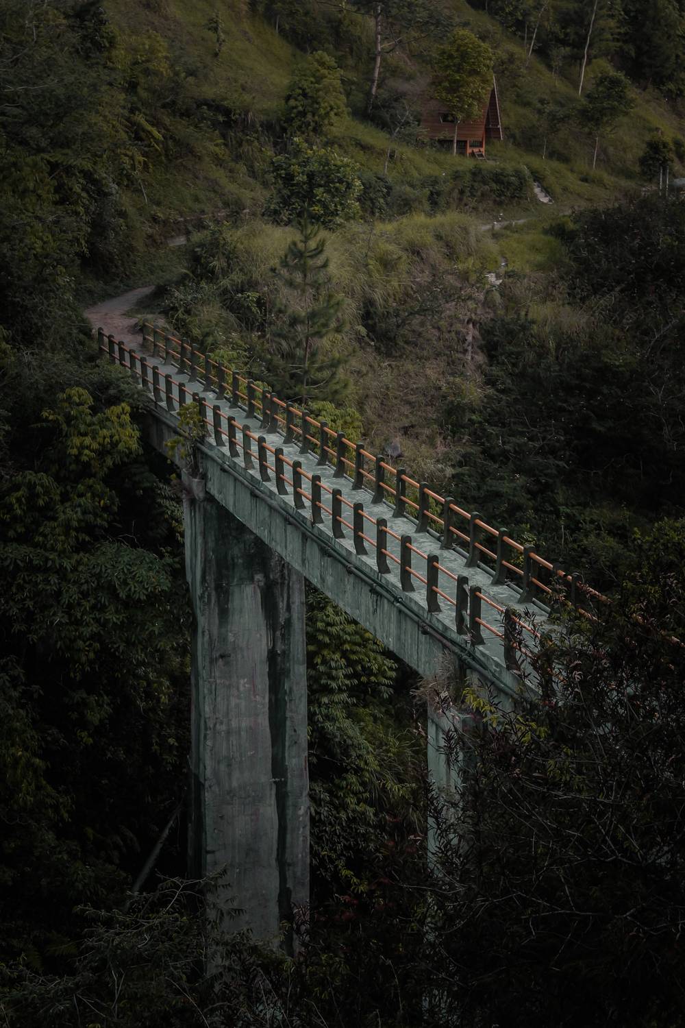 Jembatan Plunyon yang Melewati Sungai Tampak Dari Bukit (c) Ade Alvian/Travelingyuk