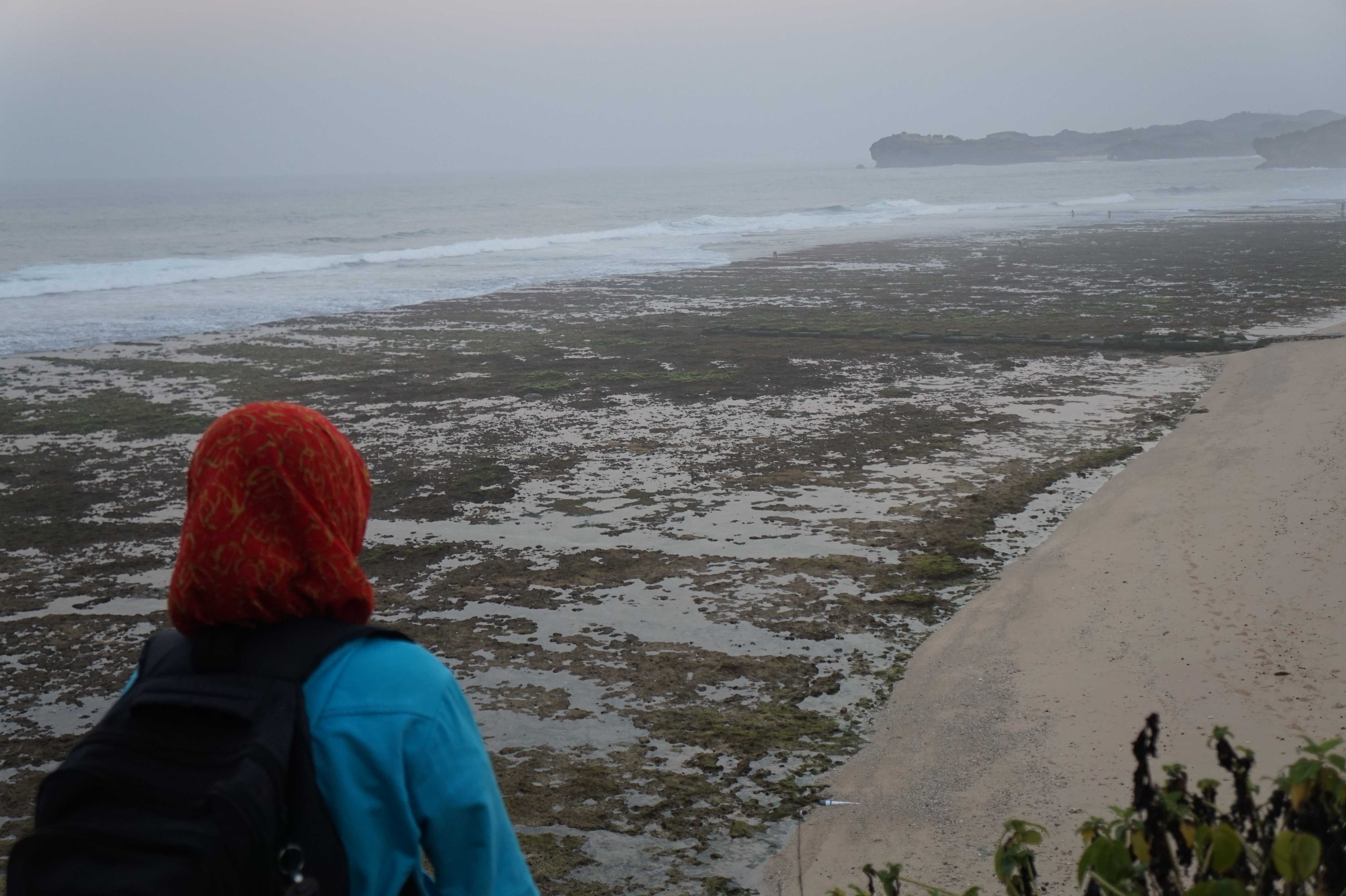 Mengintip Cantiknya Embun Pagi Hari Di Pantai Indrayanti Yogyakarta