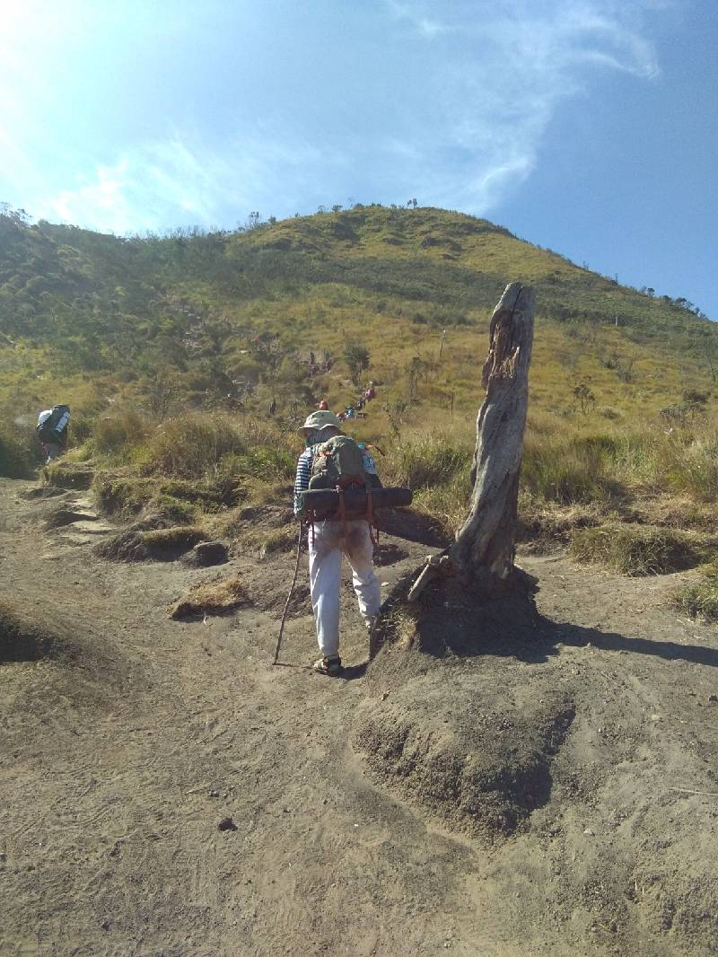 Jalur Pendakian Gunung Merbabu (c) Atmakhati/Travelingyuk