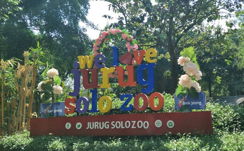 Ikon Solo Zoo (c) Arfani/Travelingyuk