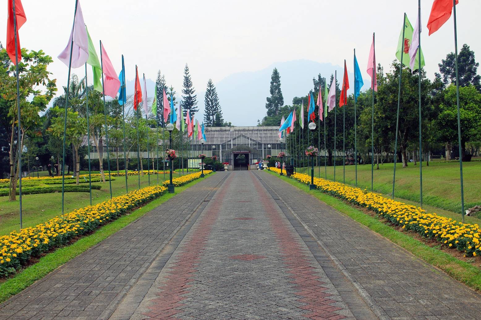Taman Bunga Nusantara Dimanja Hamparan Flora Mempesona