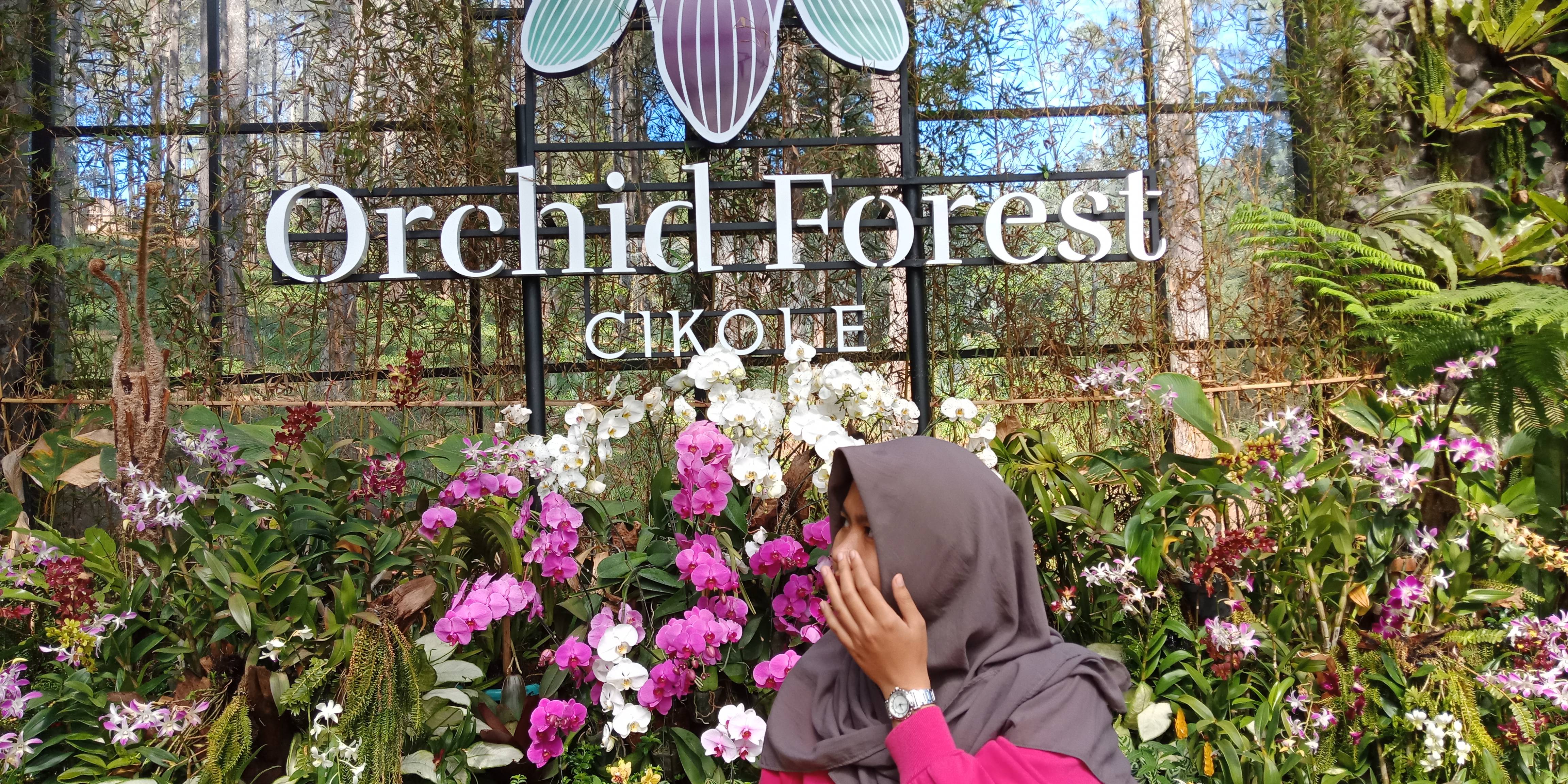 hutan anggrek, anggrek di Lembang, Orchid Forest Cikole Lembang