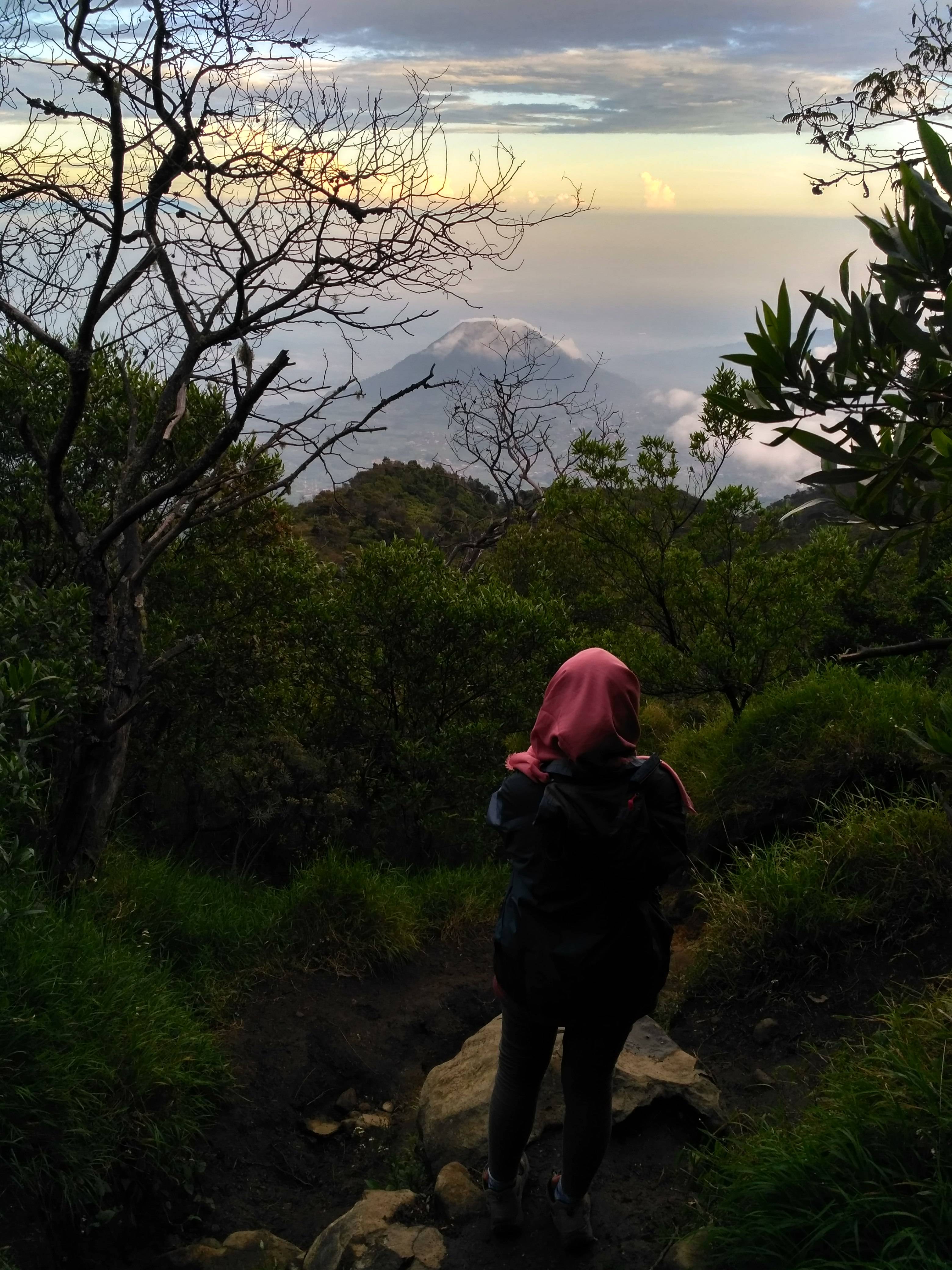 pemandangan Menawan di ajlur pendakian (c)Hadfina Ella/Travelingyuk