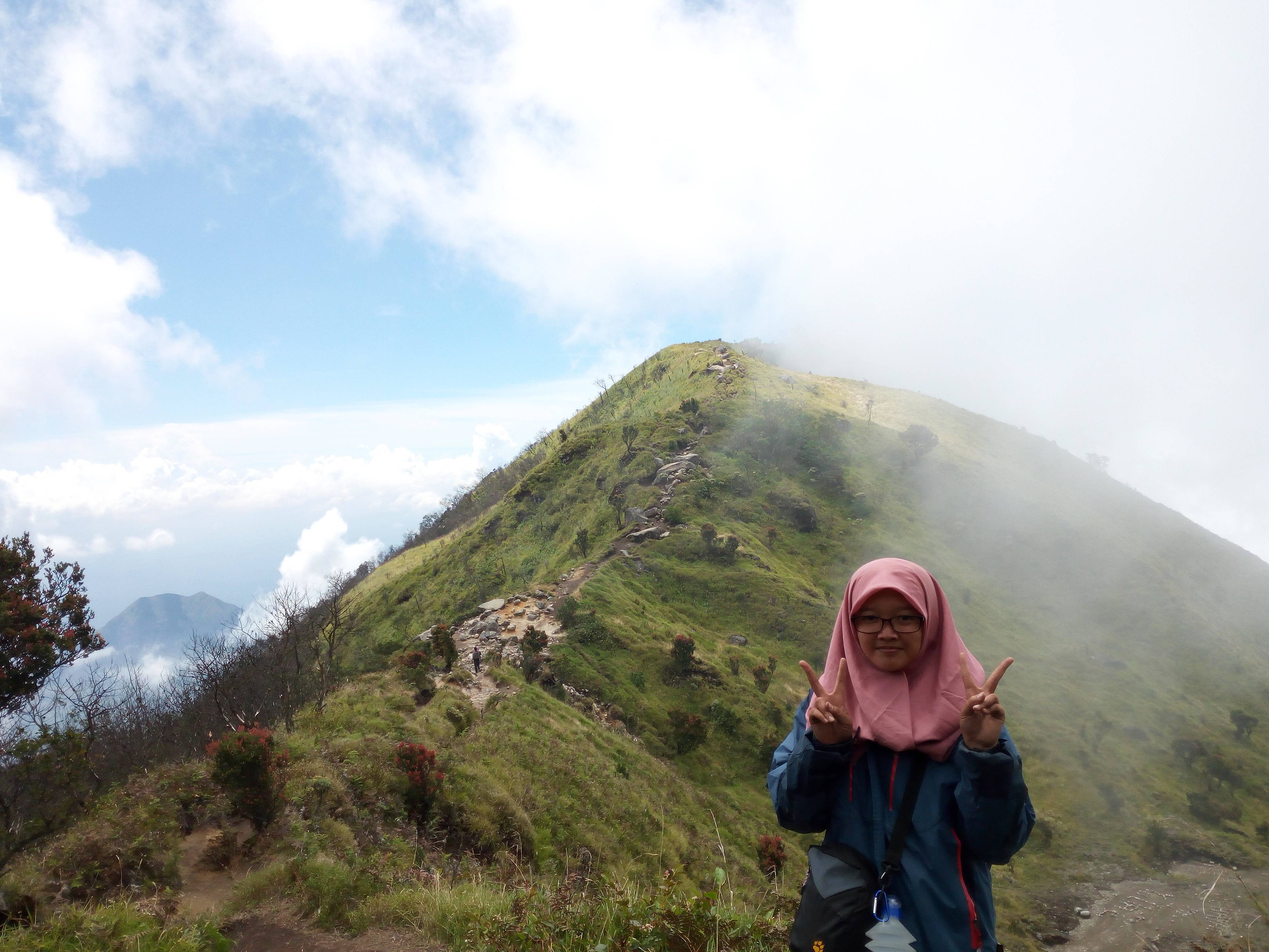 Pemandangan Keren di Jalur Pendakian Merbabu (c) Hadfina Ella/Travelingyuk