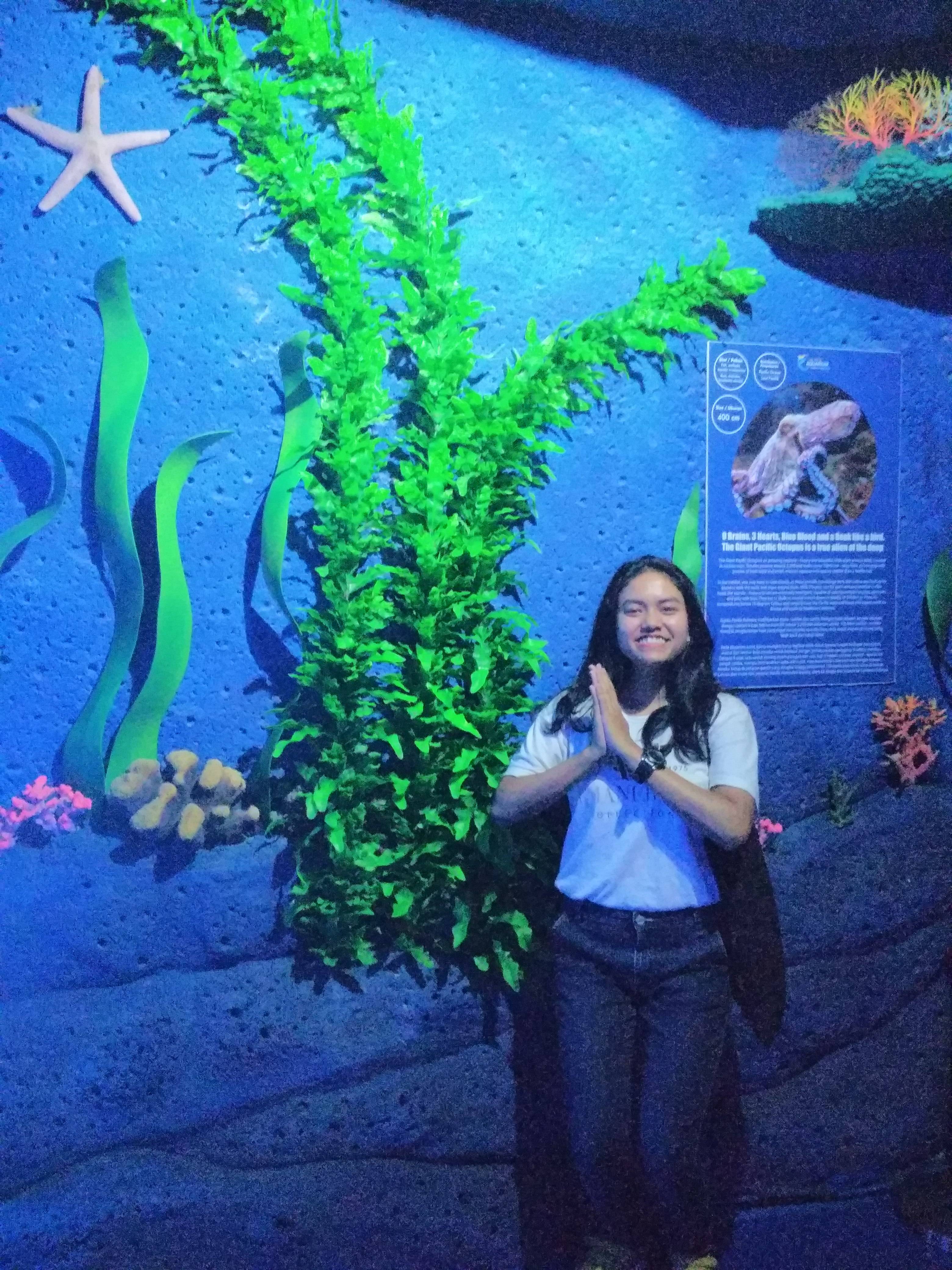 jakarta_aquarium_sebagai_tempat_rekreasi_dan_edukasi_bTH.jpg