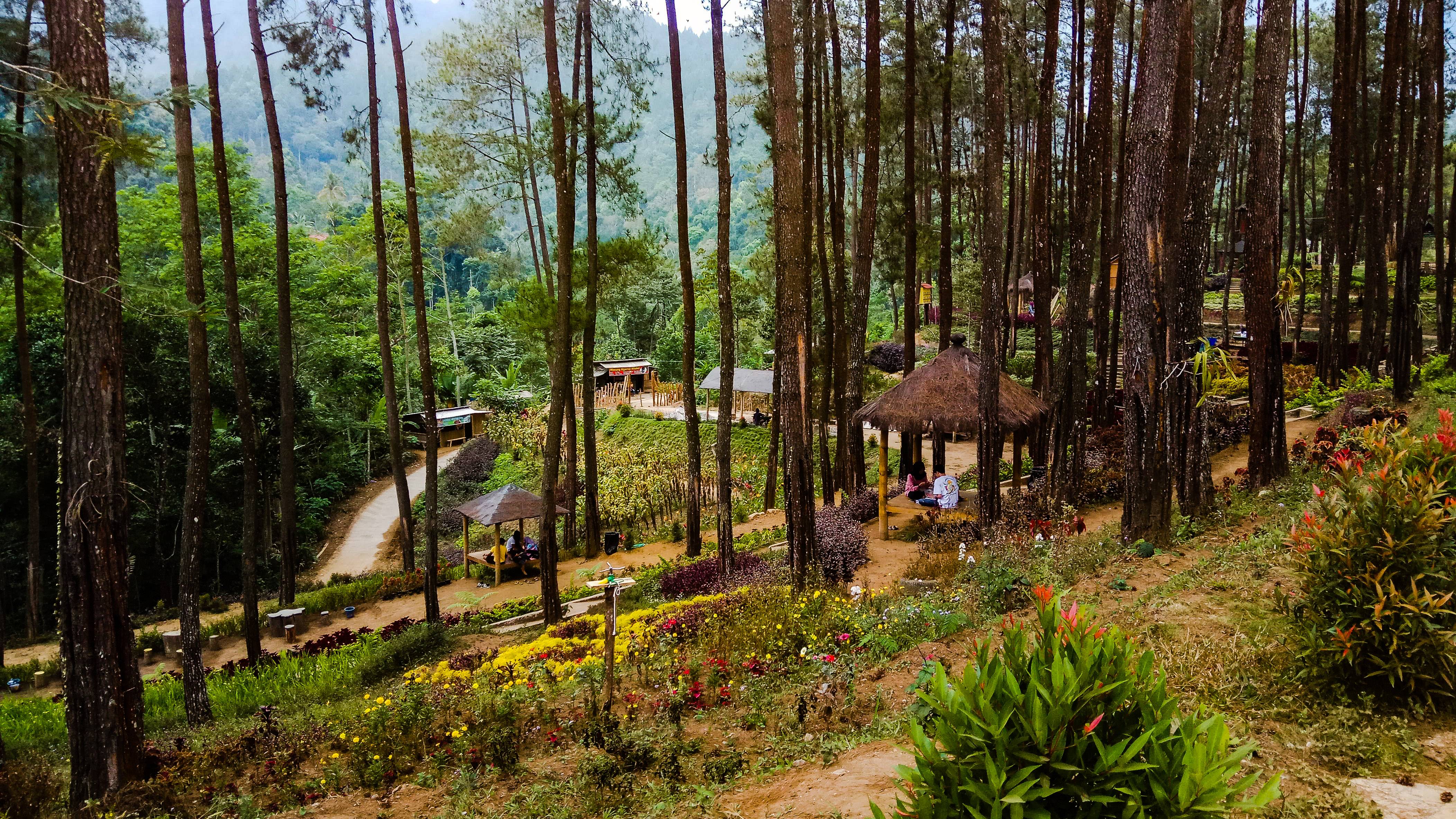 Taman di Area Dalam Wanawisata Mloko Sewu (c) MarMur/Travelingyuk