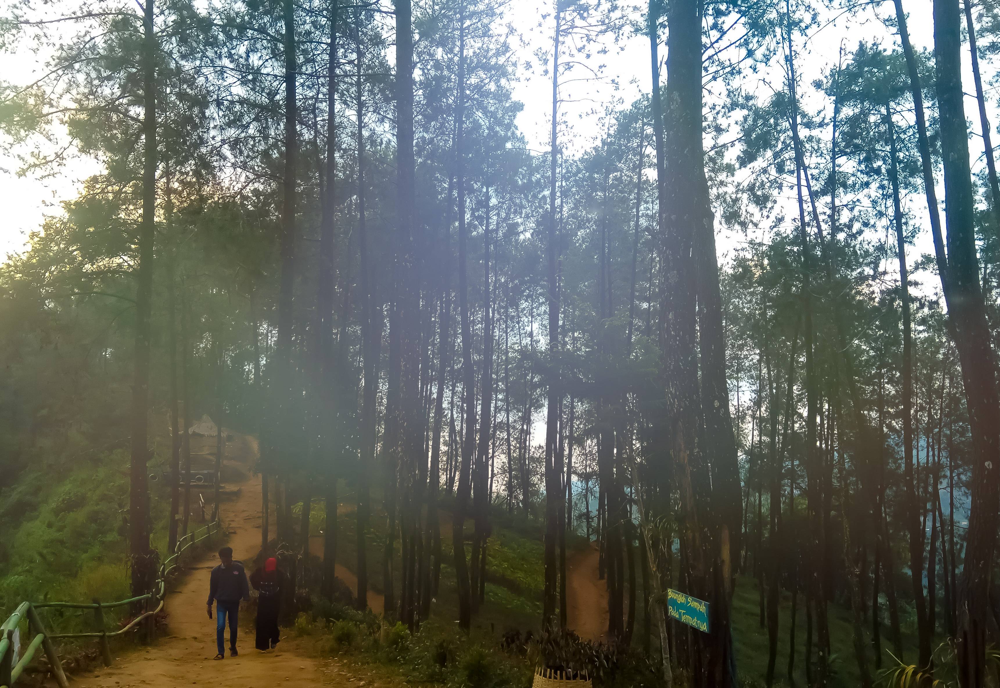 Jalan Setapak untuk Menikmati View Sekitar Wanawisata (c) MarMur/Travelingyuk
