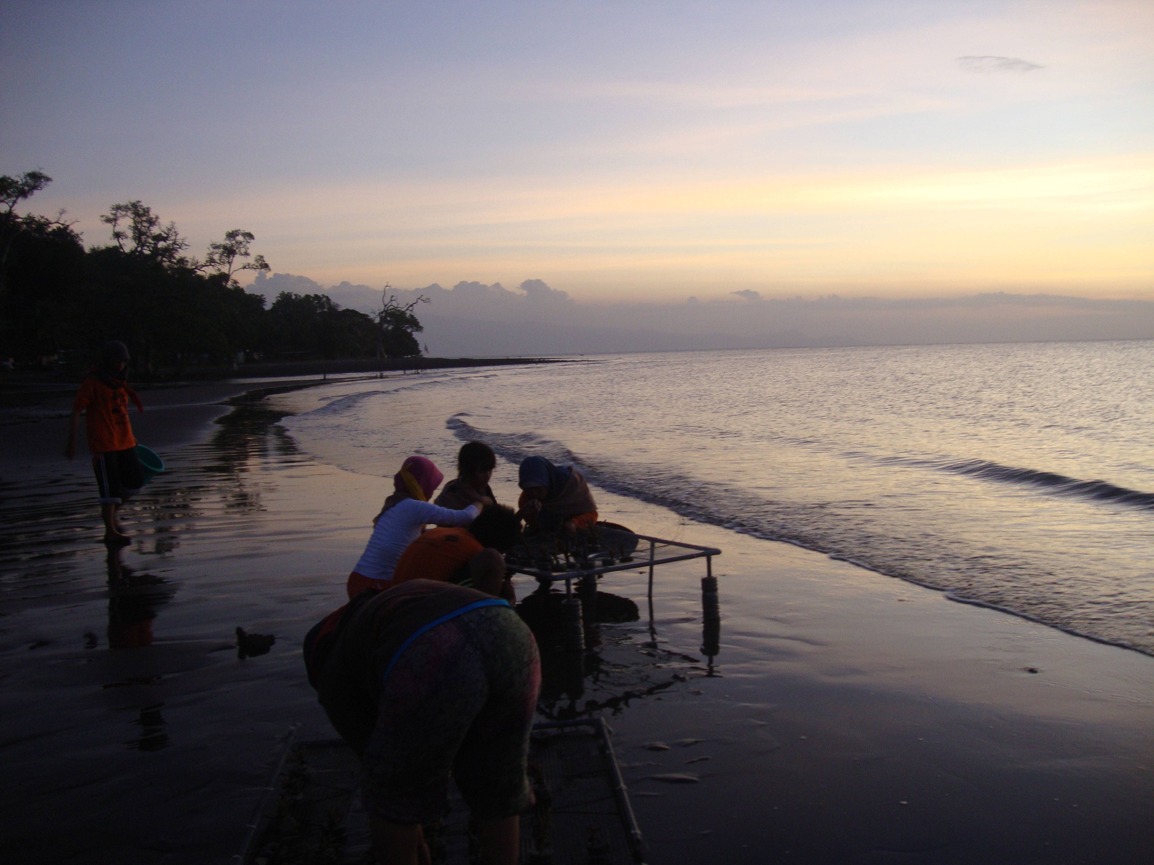 Pesona Pantai Karang Mayit di Situbondo, Punya Spot Diving Favorit